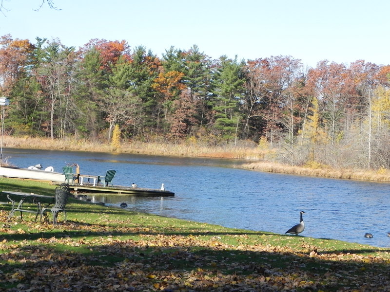 LITTLE CEDAR LAKE ORION TOWNSHIP MICH